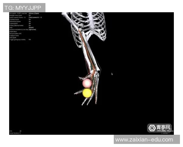 生物力学动作分析在运动表现提升与伤害预防中的应用研究探讨